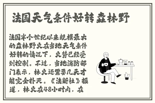 午夜影院先看看